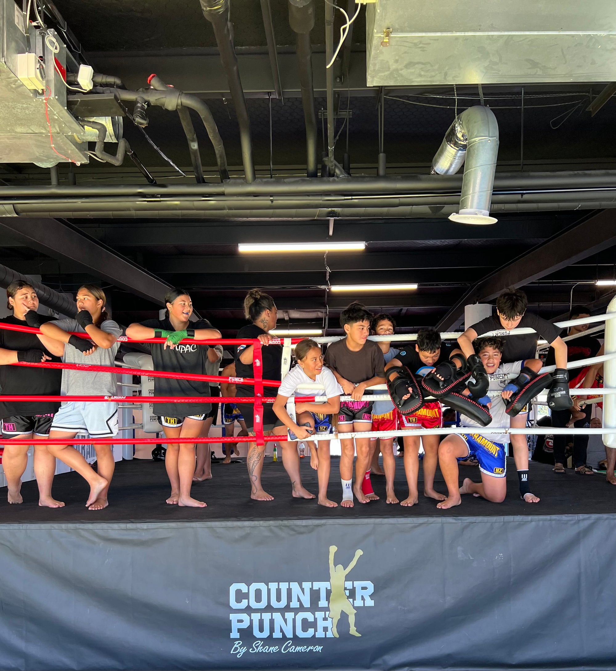 Custom Counterpunch Boxing Ring