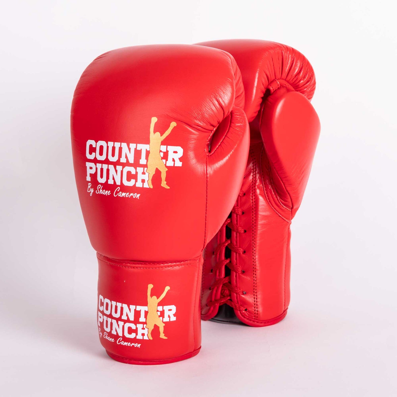 Pro Boxing Gloves [8oz]