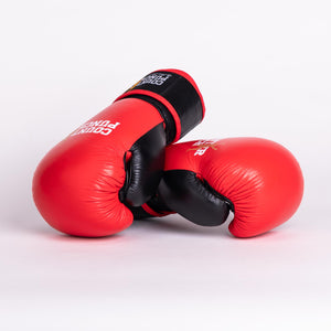 Premium Leather Gloves