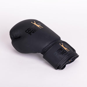 Special Edition Night Rider Black on Black Leather Gloves