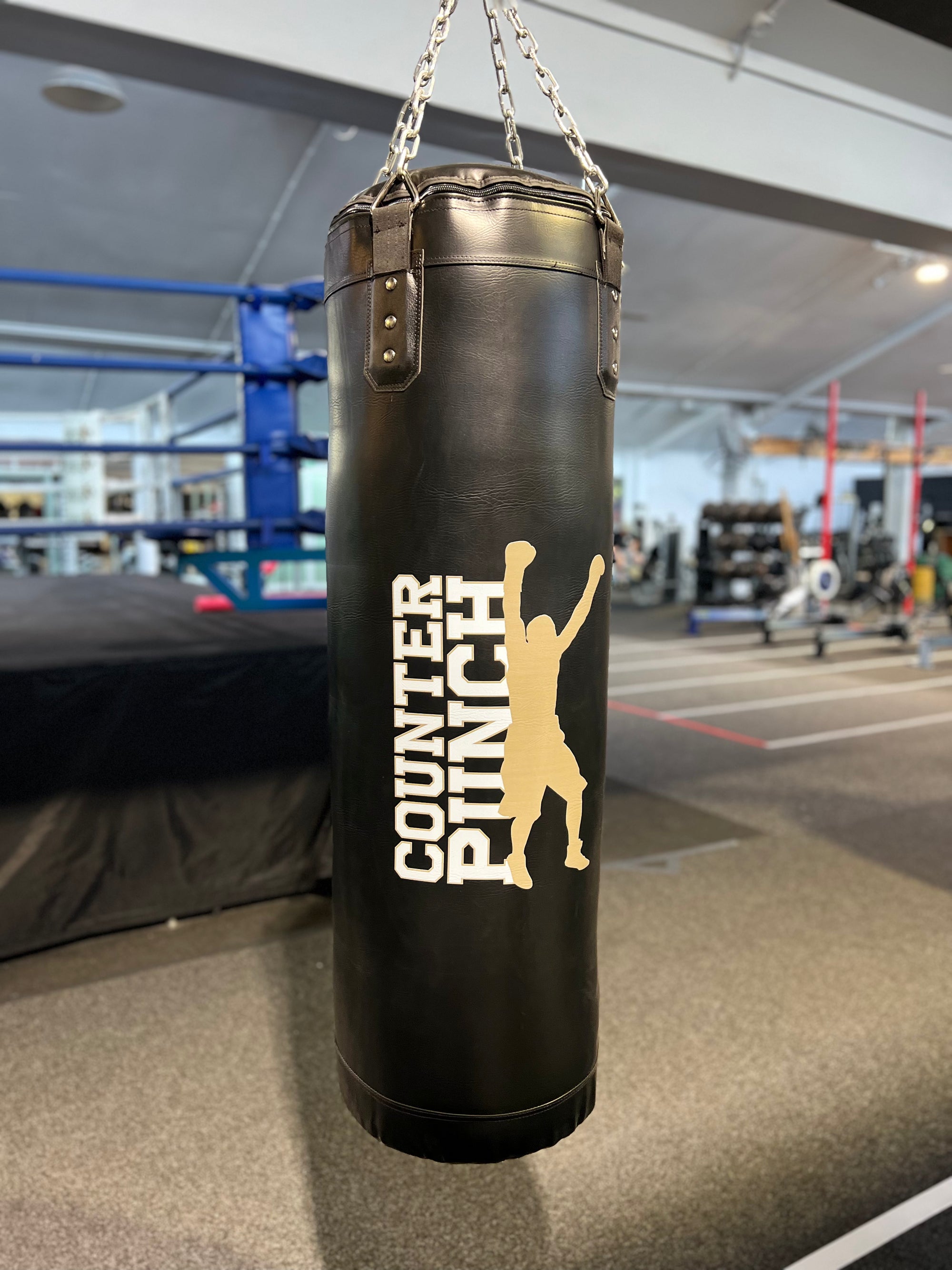 Heavyweight Boxing Bag V1 [40kg]