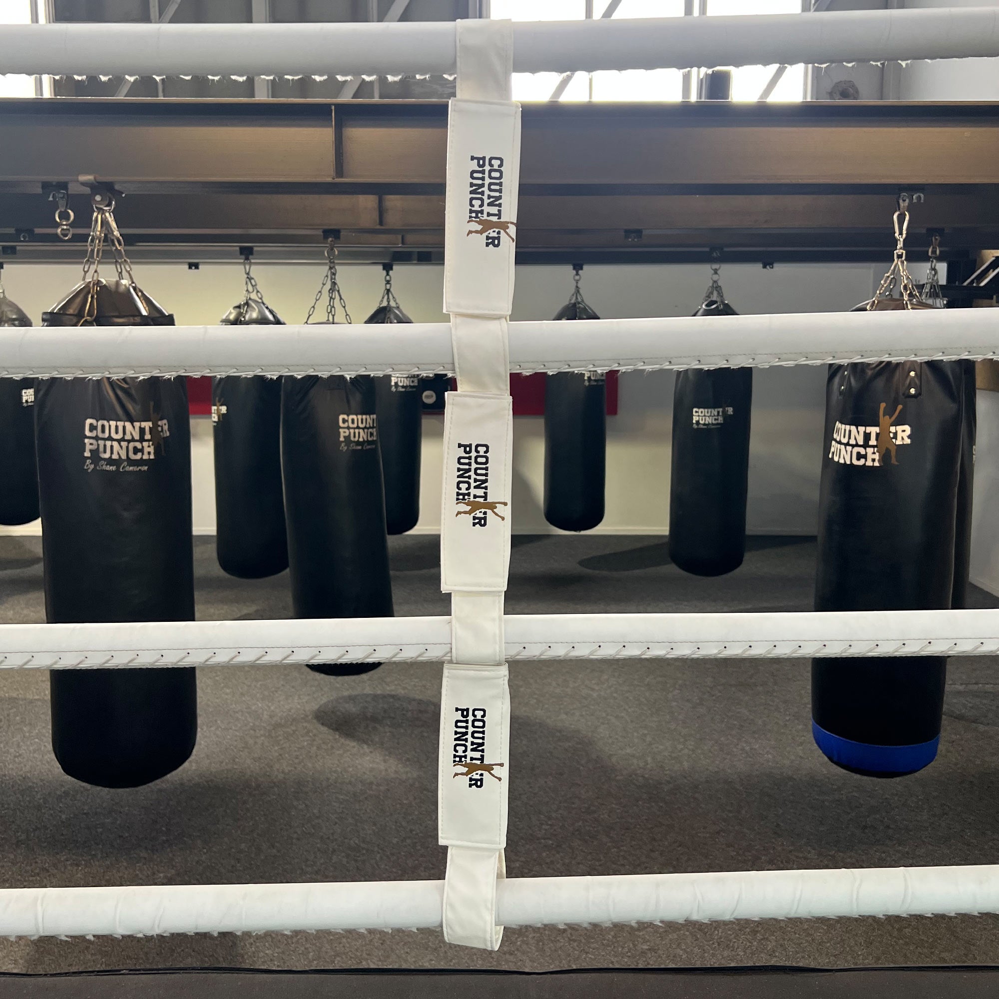 Boxing Ring Rope Dividers - counterpunch.co.nz