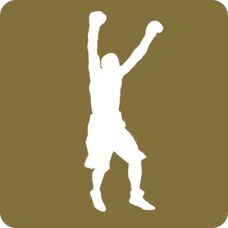 Counterpunch Boxing by Shane Cameron logo