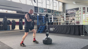 Cobra Reflex Boxing Bag (bonus ball)