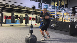 Cobra Reflex Boxing Bag (bonus ball)