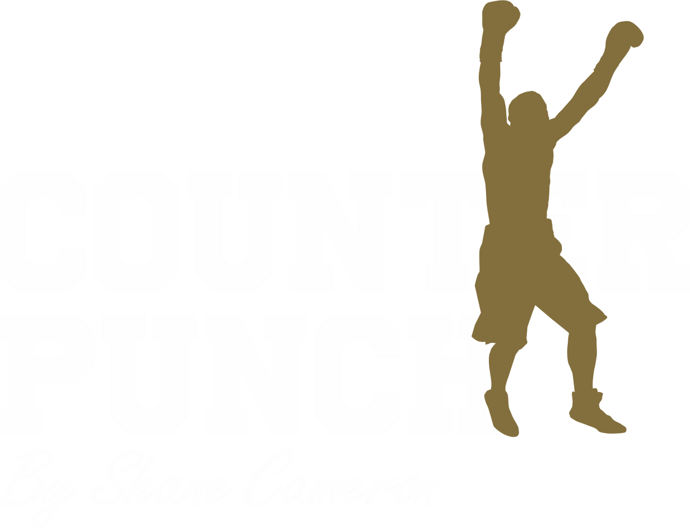 Counterpunch Boxing by Shane Cameron