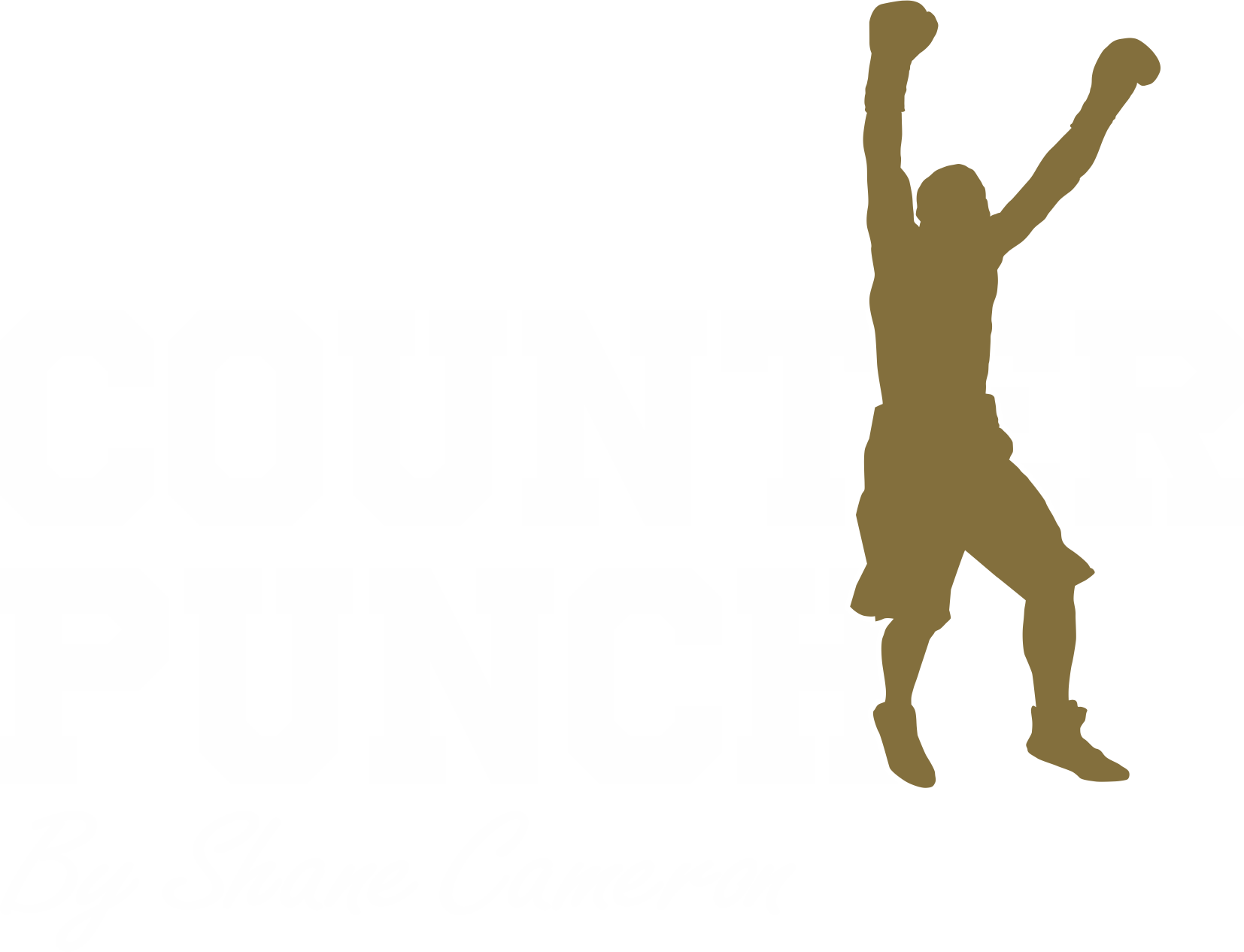 Counterpunch Boxing by Shane Cameron