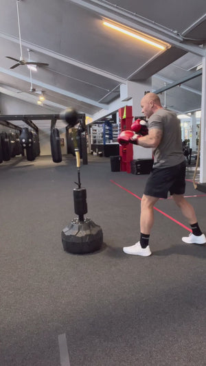 Pro Reflex Boxing Bag (Bonus Ball)
