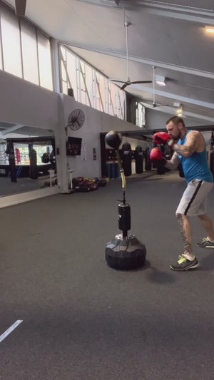 Pro Reflex Boxing Bag (Bonus Ball)