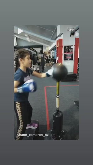 Pro Reflex Boxing Bag (Bonus Ball)