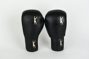 Special Edition Pro Boxing Gloves