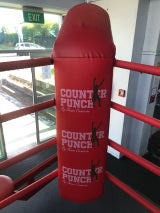 Boxing Ring Corner Pads