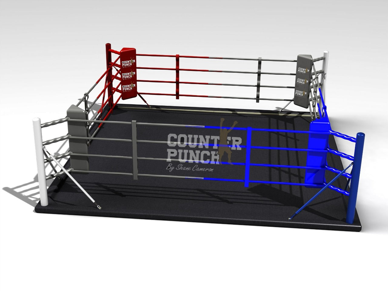 Custom Counterpunch Boxing Ring
