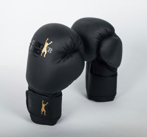 Boxing Gloves – Matt Black Finish